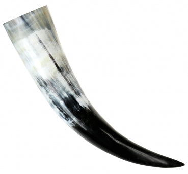 Real Drinking Horn - Various Colours & Sizes. Polished outside and Laquered inside (Food-Safe).