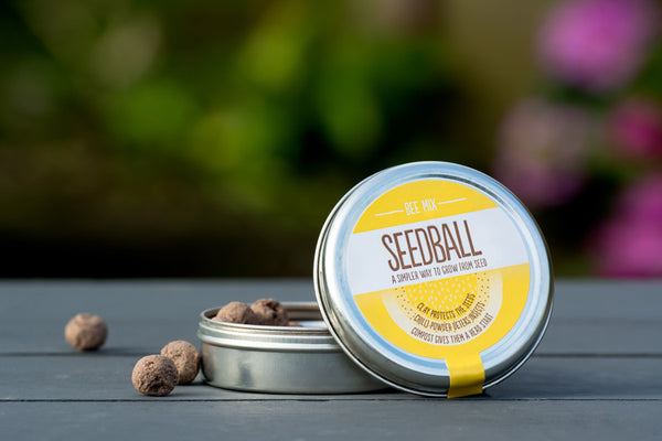 Seedballs - Bee Mix Tin - Contains 20 Seed Balls - Best Scattered in Spring or Autumn